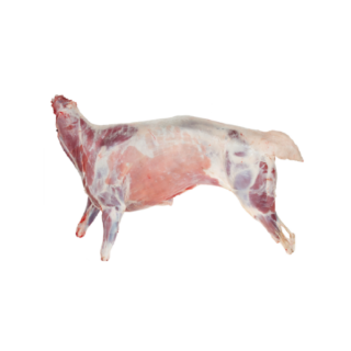 Premium Whole Sheep Carcass | 100% Grass-Fed Mutton